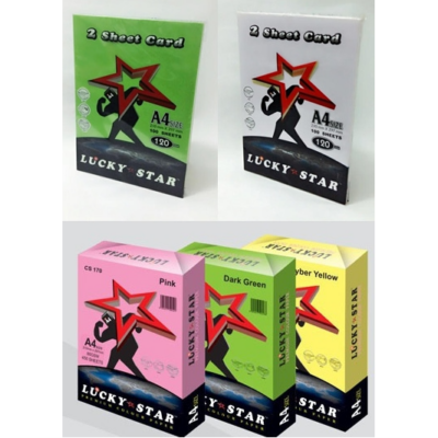 2 SHEET CARD A4 100’S 120GSM