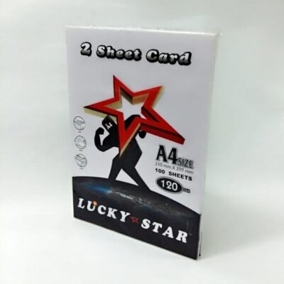 2 SHEET CARD A4 100’S WHITE (W10) 120GSM